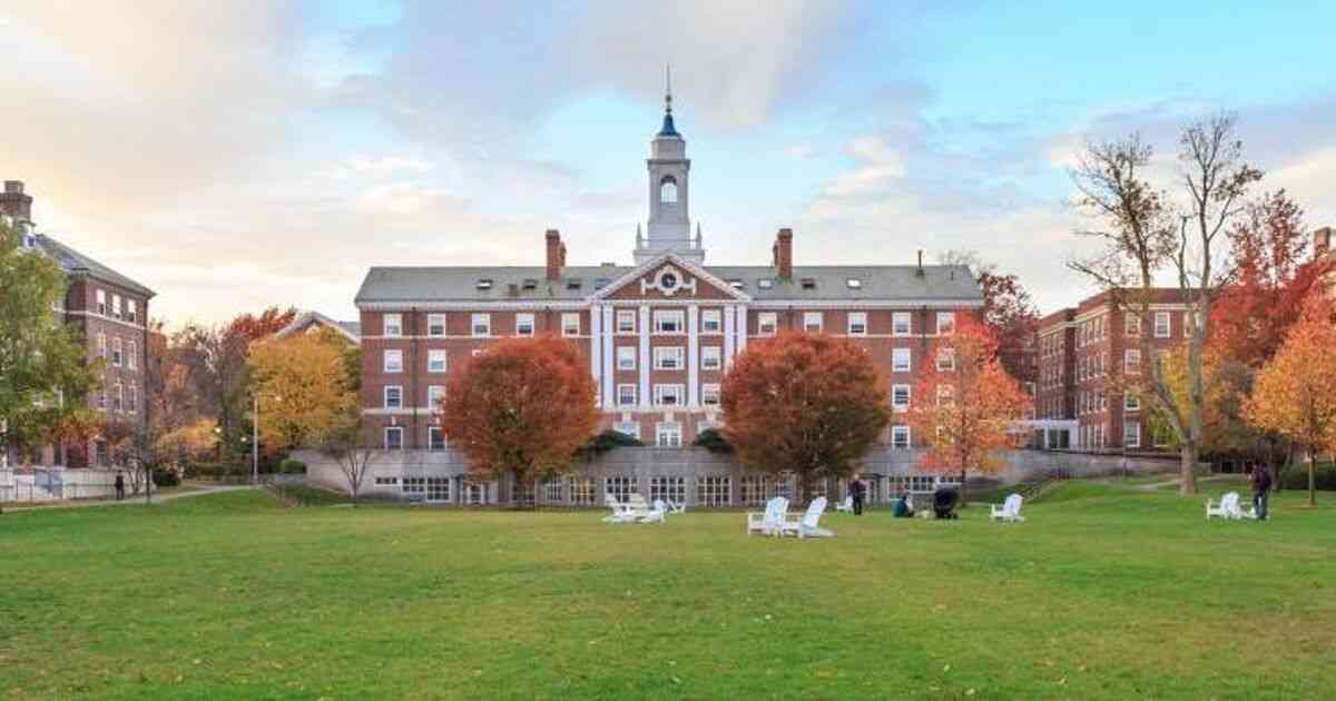世界最高峰の大学は、「偏差値」を重要視していない ｜親が偏差値思考をやめれば、不思議なほどわが子は伸びる｜青木唯有 - 幻冬舎plus