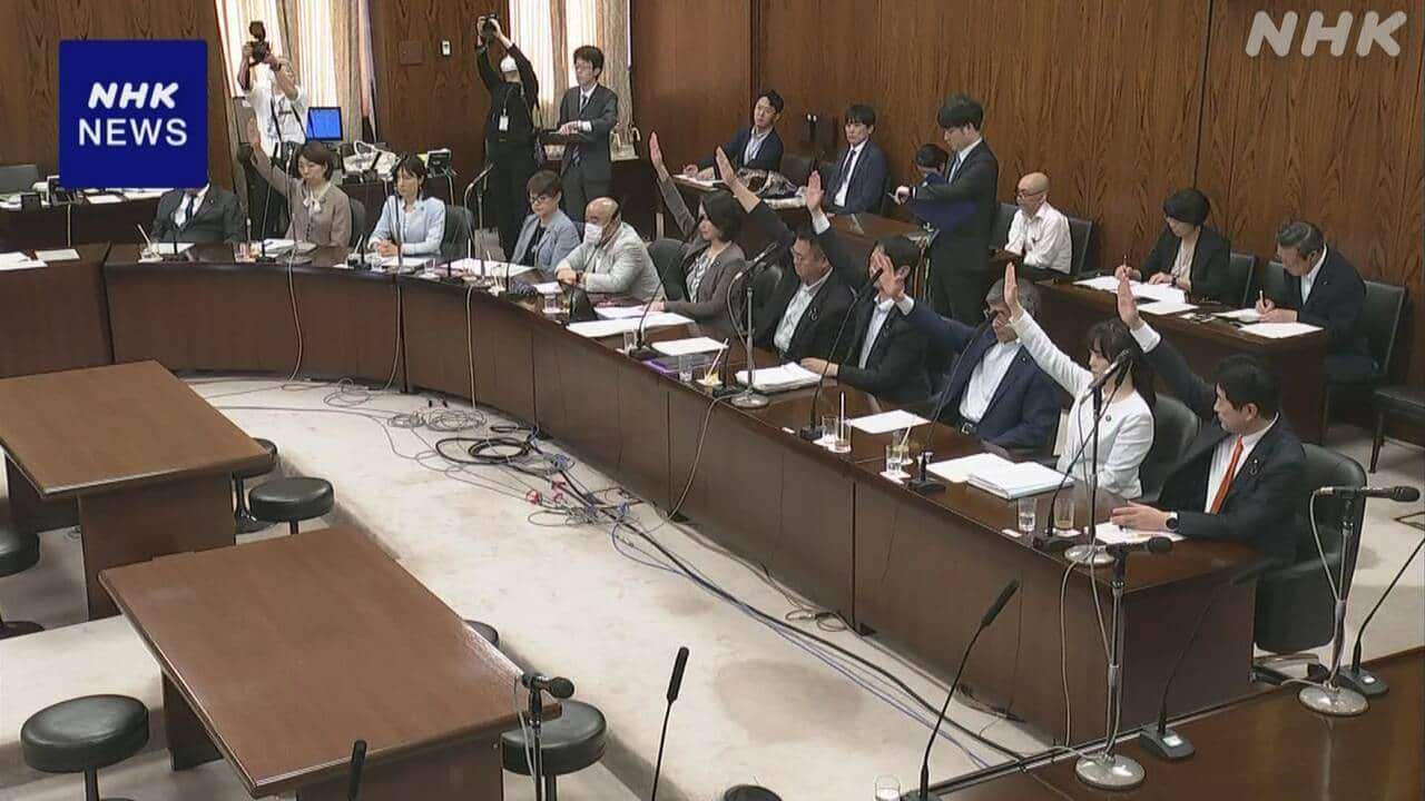 「国家情報局」設置法案 参議院内閣委員会で可決 あす成立へ