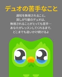 デュオリンゴ Duolingo