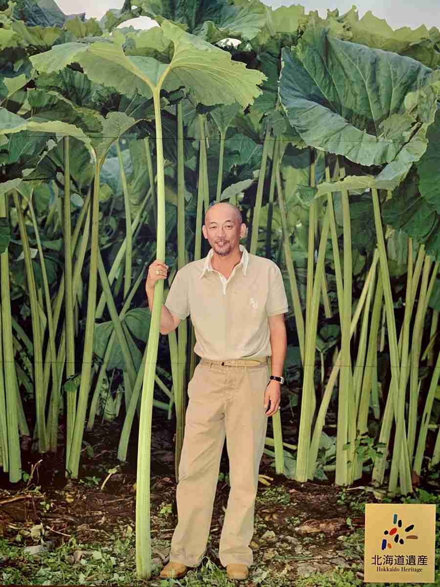 網走監獄で食べた監獄飯にあったバカでかいフキの含め煮が美味しすぎて忘れられない…というかこれは本当にフキだったんでしょうか？→道民「これデカいの？」