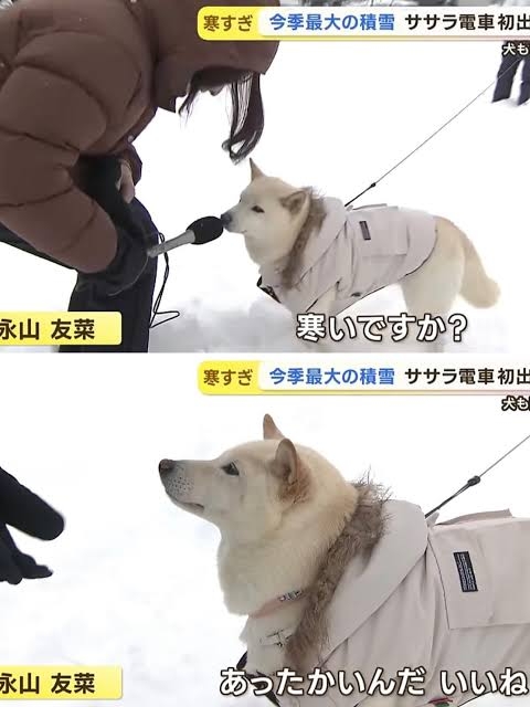 印象に残っているインタビュー