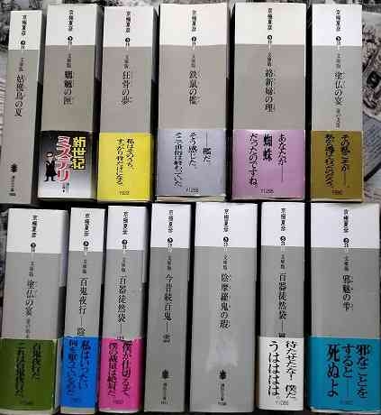 面白くて一気読みした小説