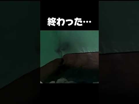 キャンプでクマに遭遇・・・死を覚悟した瞬間