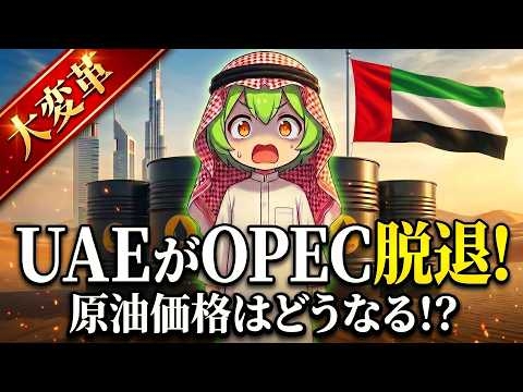 【世界第4位の産油国UAEがOPEC脱退！】UAEとサウジとの対立と原油市場への影響を徹底解説するのだ！【ずんだもん深堀り解説】