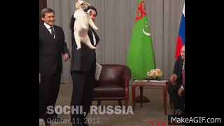 プーチン大統領の秋田犬死ぬ 県が贈呈の「ゆめ」、昨年高齢で