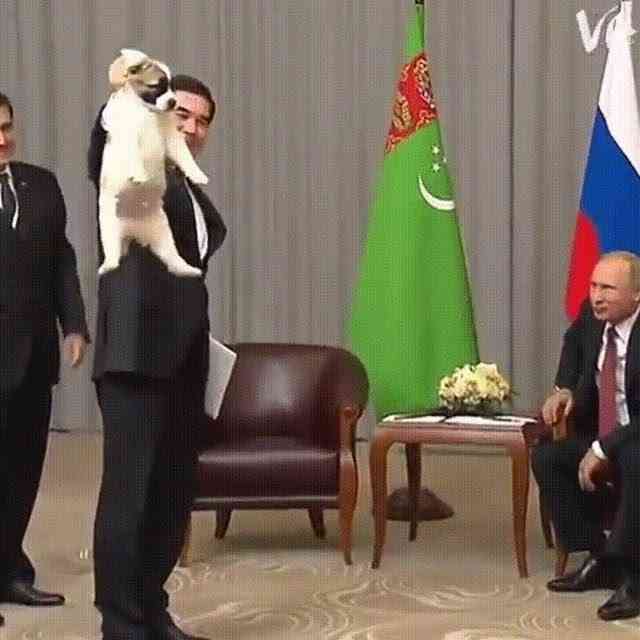 プーチン大統領の秋田犬死ぬ 県が贈呈の「ゆめ」、昨年高齢で