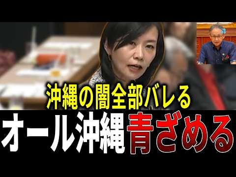 「まさにオール沖縄」デニーを支える構図を梅村みずほが国会でバラしてしまう...オール沖縄大慌て【辺野古転覆事故|オール沖縄|玉城デニー|沖縄県知事選|梅村みずほ】