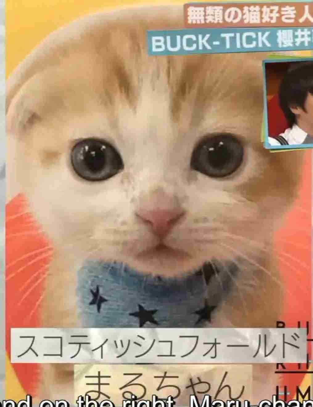 【定期】櫻井敦司語るトピ