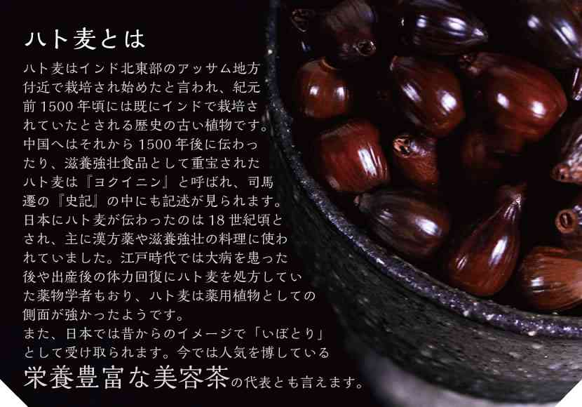 ハトムギ