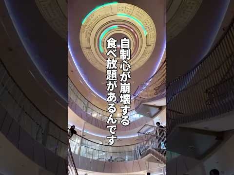 志布志 大阪 フェリー飯 さんふらわあ さつまの一人旅 #フェリー #さんふらわあ #一人旅  #shorts #旅行