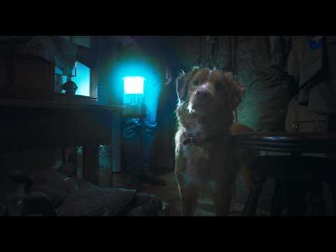『GOOD BOY／グッド・ボーイ』特報