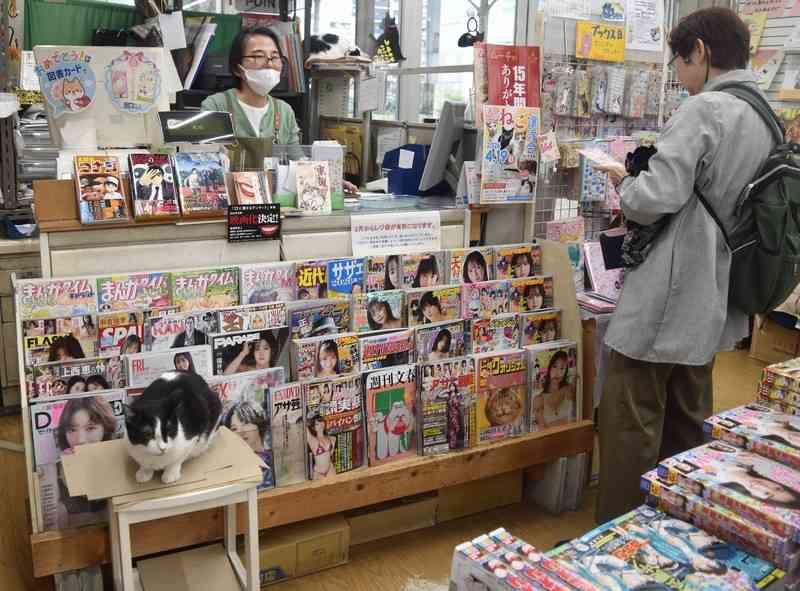 「用がなくてもつい…」保護猫3匹が店番の書店、客絶えず 大阪