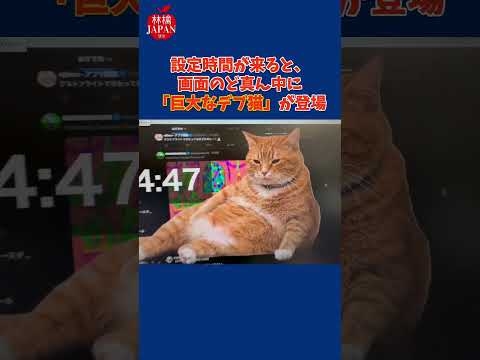 【デブ猫アプリ】「シリコンバレーが敗北した…」日本の『デブ猫アプリ』に全米が衝撃。SNS依存という深刻な社会問題を“猫1匹”で解決した日本人の驚愕の発想の正体とは？#海外の反応