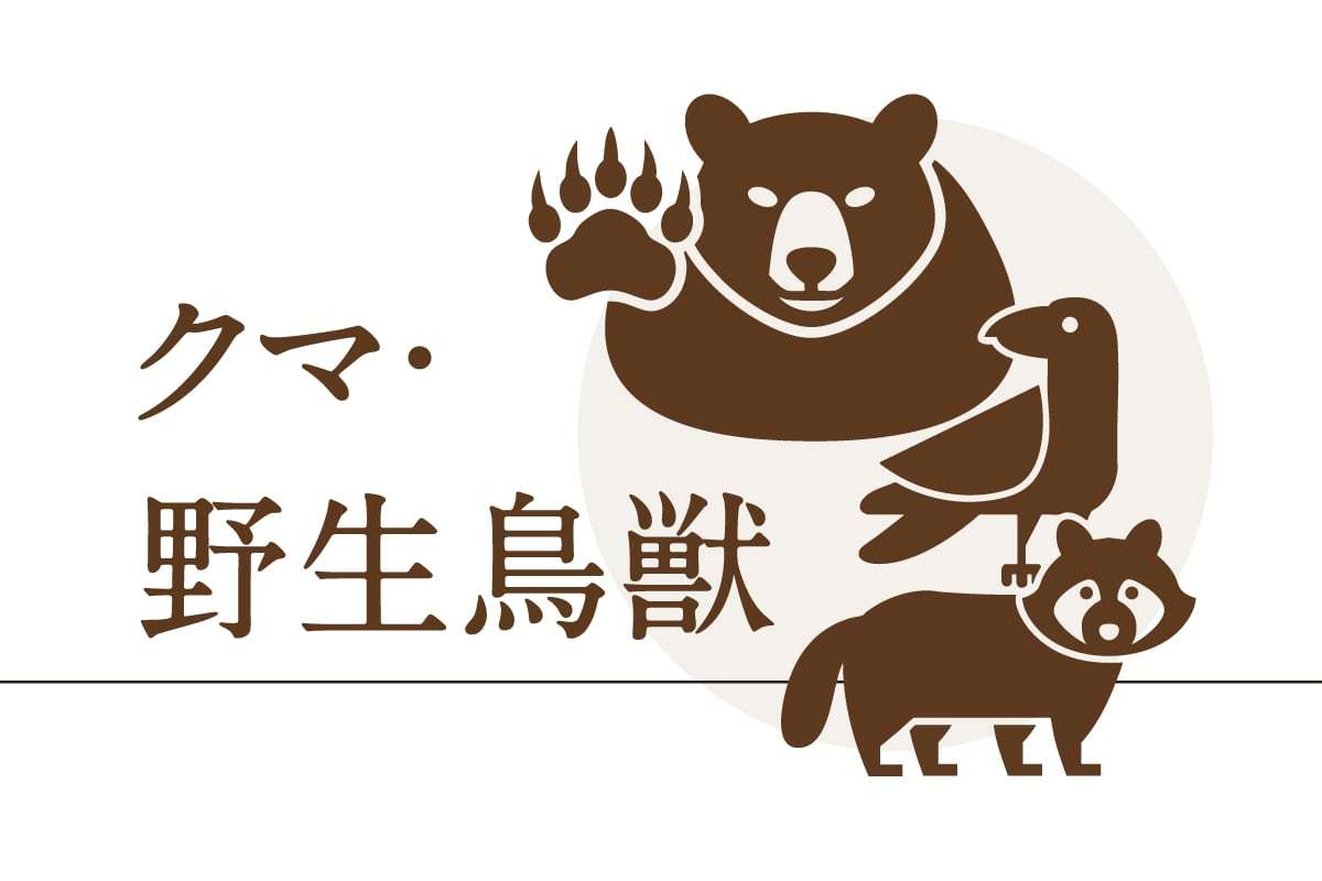 東京・八王子でツキノワグマ出没　体長1m　ふんの痕跡や足跡確認されず、捕獲へわな設置（産経新聞） - Yahoo!ニュース