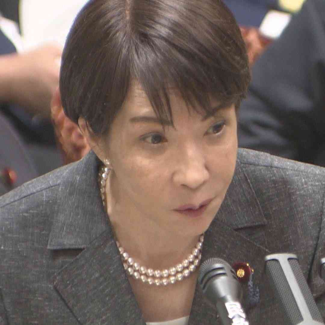 高市総理「すべての子育て世帯に向けた支援」　ベビーシッターや家事支援利用で税制優遇検討（テレビ朝日系（ANN）） - Yahoo!ニュース