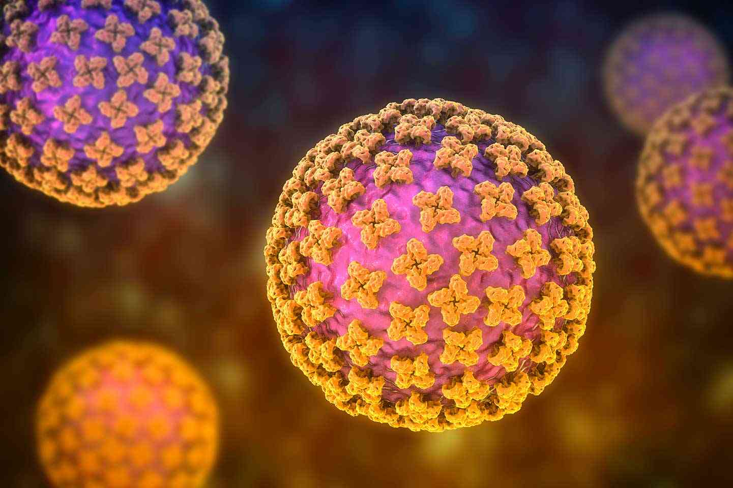 The Next Pandemic: Hantavirus?