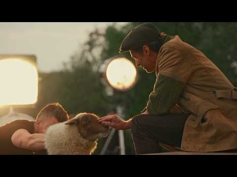 The world needs this video of Hugh Jackman interacting with sheep stuffies