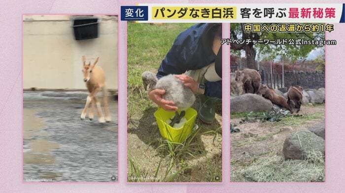 絶対的アイドル・パンダ不在でも客足好調　和歌山・白浜町　アドベンチャーワールドが目指す「地球で1番癒されるパーク」　町長が明かす“シン白浜町”構想　温泉への原点回帰　草津温泉をモデルにした「湯畑」も