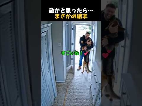 赤ちゃんを守るために犬が見せた“本能”がヤバい