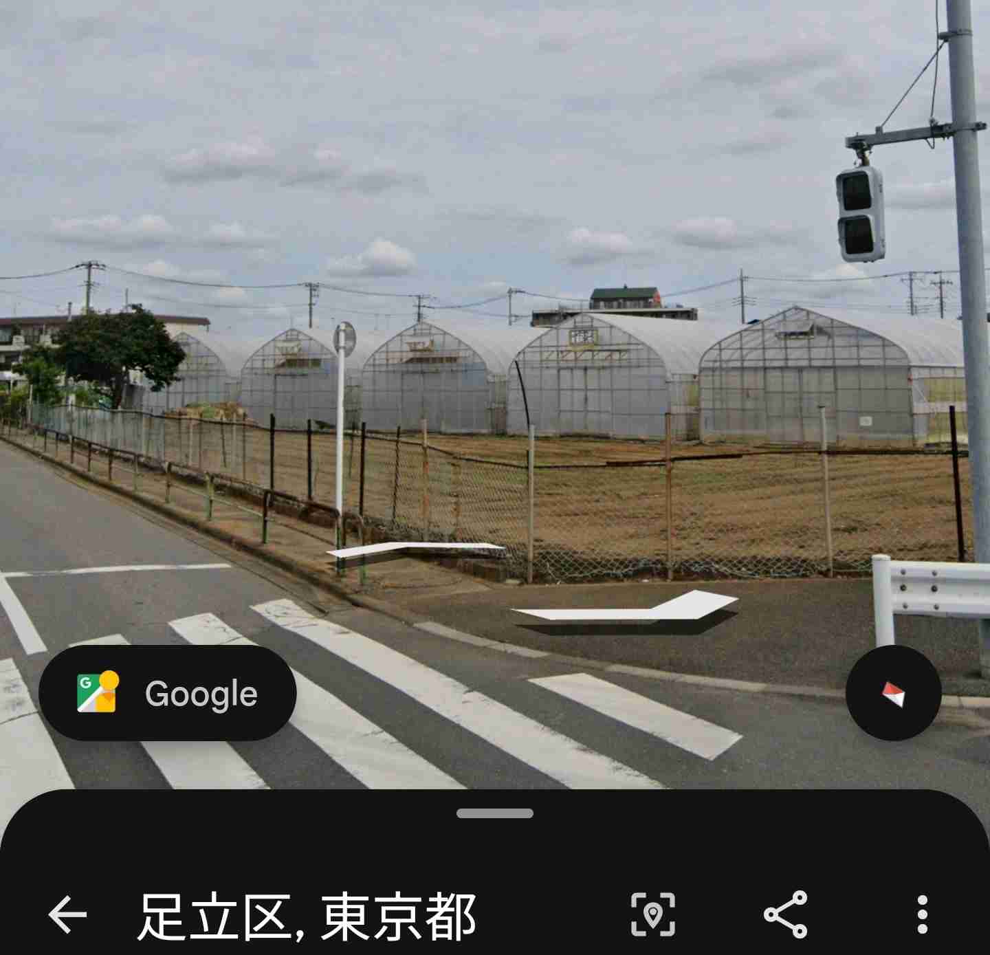 過去に東京に住んだ事ある人、また住みたいですか?