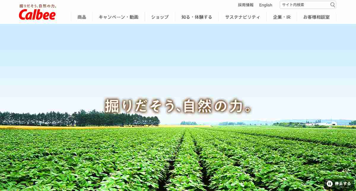 「カルビーの白黒パッケージ」に官邸はピリピリ　民間企業を「呼び出し」までする背景には「疑念」も | デイリー新潮