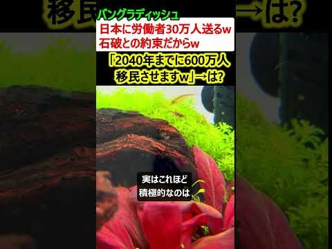 バングラデシュ「日本に労働者30万人送るw 目標は600万人w」→石破のせいだと判明