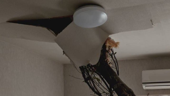 倒木が住宅の屋根を突き刺しベッドを直撃　あわや！「びっくりした、数センチずれてたら当たっていた」住民にケガ無し　和歌山・白浜町