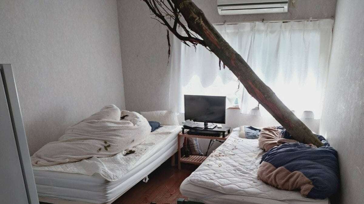 【速報】倒木が住宅の屋根を突き刺しベッドを直撃　あわや！「びっくりした、数センチずれてたら当たっていた」住民にケガ無し　和歌山・白浜町 | TBS NEWS DIG