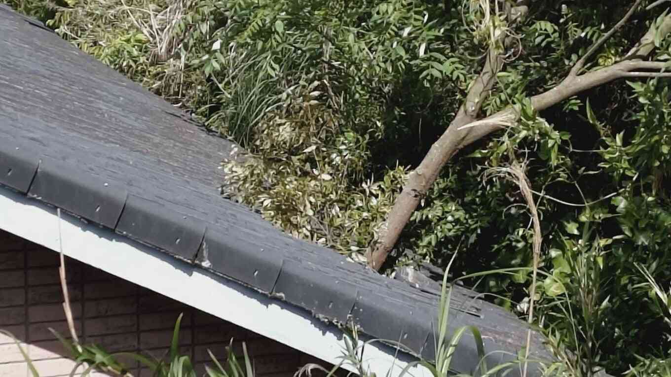 倒木が住宅の屋根を突き刺しベッドを直撃　あわや！「びっくりした、数センチずれてたら当たっていた」住民にケガ無し　和歌山・白浜町