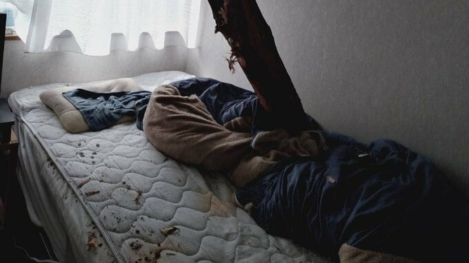 倒木が住宅の屋根を突き刺しベッドを直撃　あわや！「びっくりした、数センチずれてたら当たっていた」住民にケガ無し　和歌山・白浜町