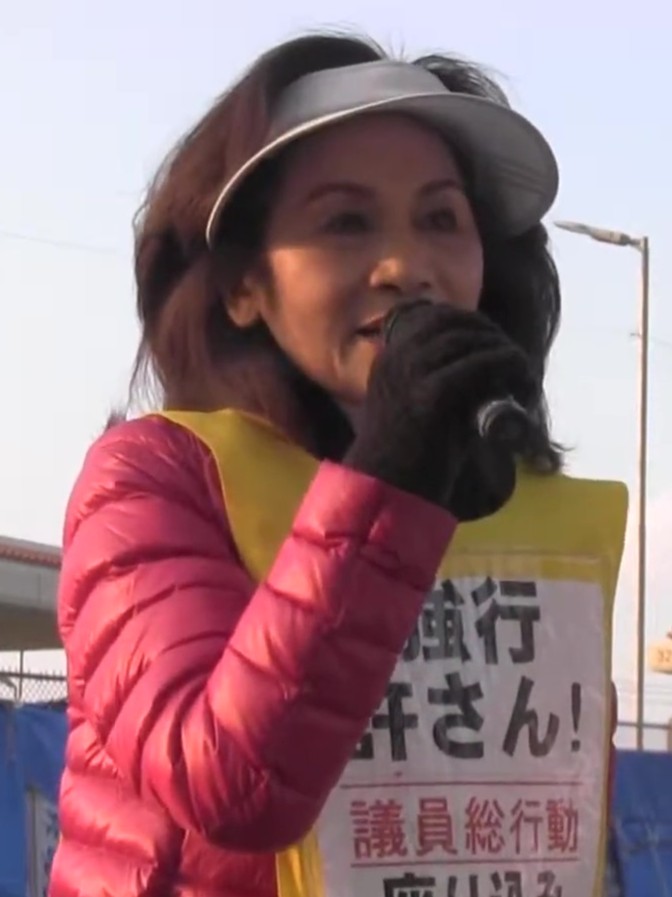 糸数慶子 - Wikipedia