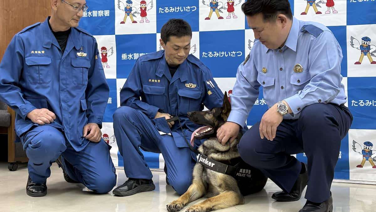 行方不明となった10代女性を発見、警察犬「ユンカー号」を表彰　兵庫県警垂水署 - 産経ニュース