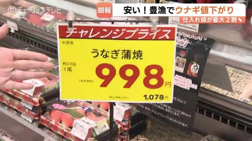 「ほぼほぼ底値」で中国産2割安も…“高嶺の花” うなぎの価格に異変?シラスウナギ豊漁!相次ぐ値上げのなか、家計に朗報　富山　（チューリップテレビ） - Yahoo!ニュース