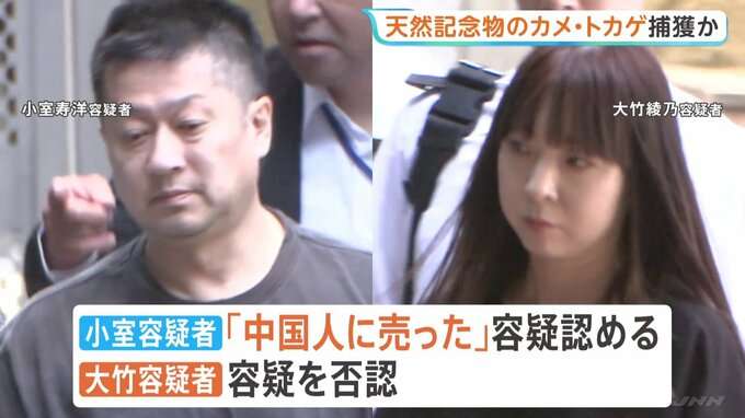 天然記念物のカメ・トカゲを沖縄で捕獲し郵送か　茨城のペットショップ経営者と店長を逮捕　「中国人に売った」と話す　警視庁