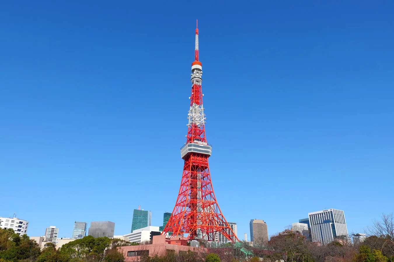地元を離れて上京した人