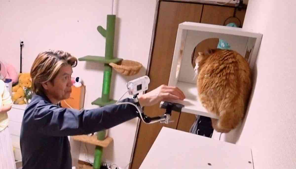 猫は「シャー！」と威嚇もヒロミはタッチを試み…動物番組での“触れ合い企画”に一部視聴者が厳しい意見