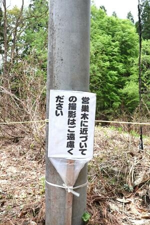 野鳥カメラマンが殺到、希少種が営巣放棄…「マナー守って」愛護会や十日町市などが対策
