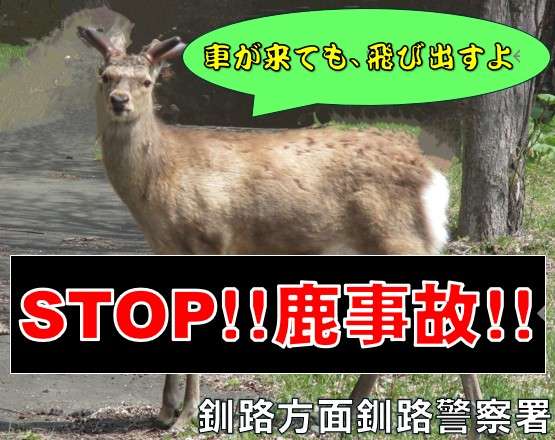北海道民に聞いてみたいこと
