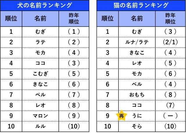 「絶対に触らせない」猫の断り方が参考になると話題に「避け方が人間」「嫌いな人が近づいたらこうしよ」