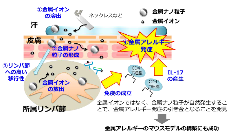 金属アレルギー💍アクセサリー問題