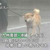 母親はコンサートに行きたいからとかいう理由でコロナワクチンを3回接種したmRNAワ... | ガールズちゃんねる - Girls Channel -
