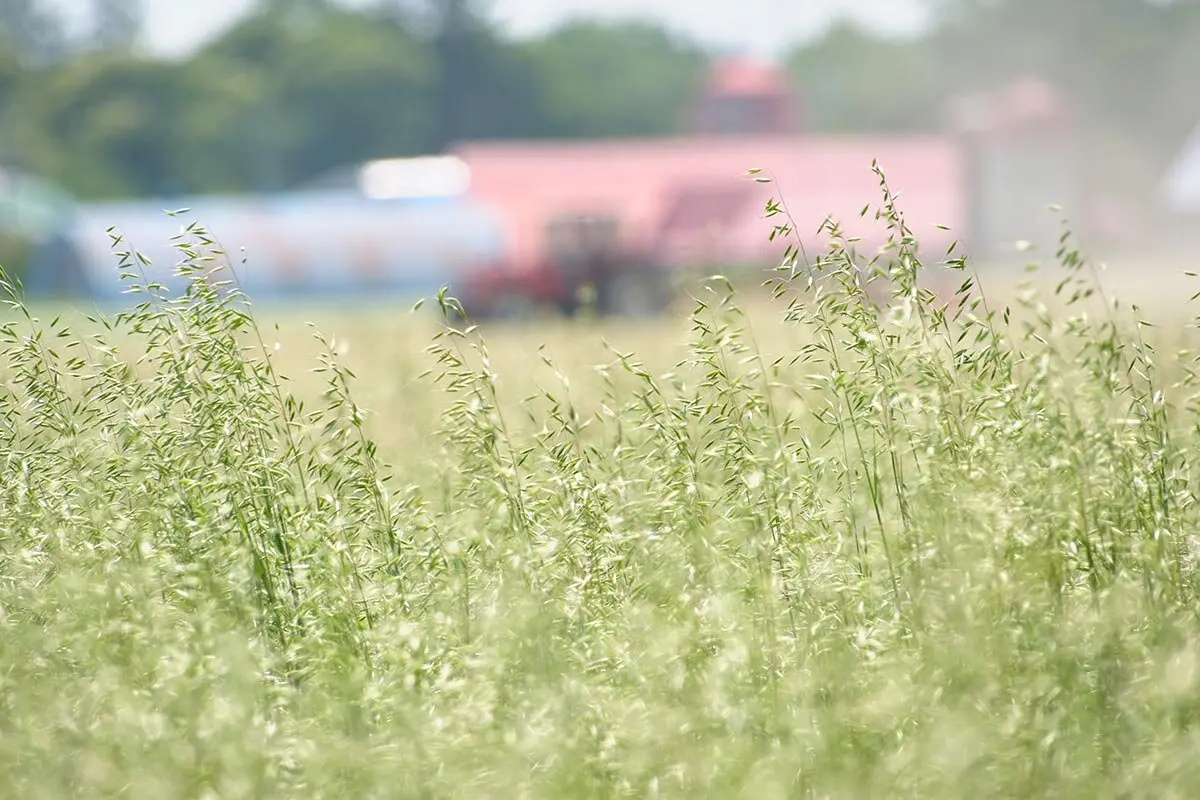 なぜ今「不耕起栽培」が注目？ 土壌生態学者・金子信博先生に聞きました｜記事｜みんなの趣味の園芸