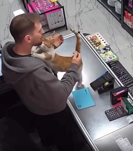 トルコの世界。腹ペコ猫を店に招き入れ餌を与えたところ、毎日ぎゅっとハグするように