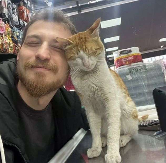 トルコの世界。腹ペコ猫を店に招き入れ餌を与えたところ、毎日ぎゅっとハグするように