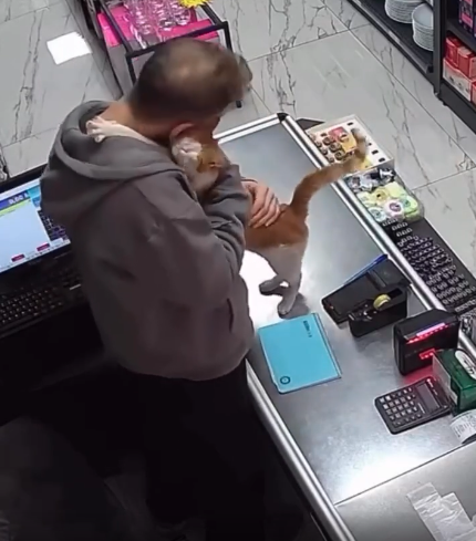 トルコの世界。腹ペコ猫を店に招き入れ餌を与えたところ、毎日ぎゅっとハグするように