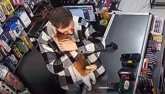 トルコの世界。腹ペコ猫を店に招き入れ餌を与えたところ、毎日ぎゅっとハグするように