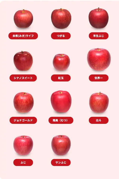 貼られた画像内で一番好きなのを発表するトピ