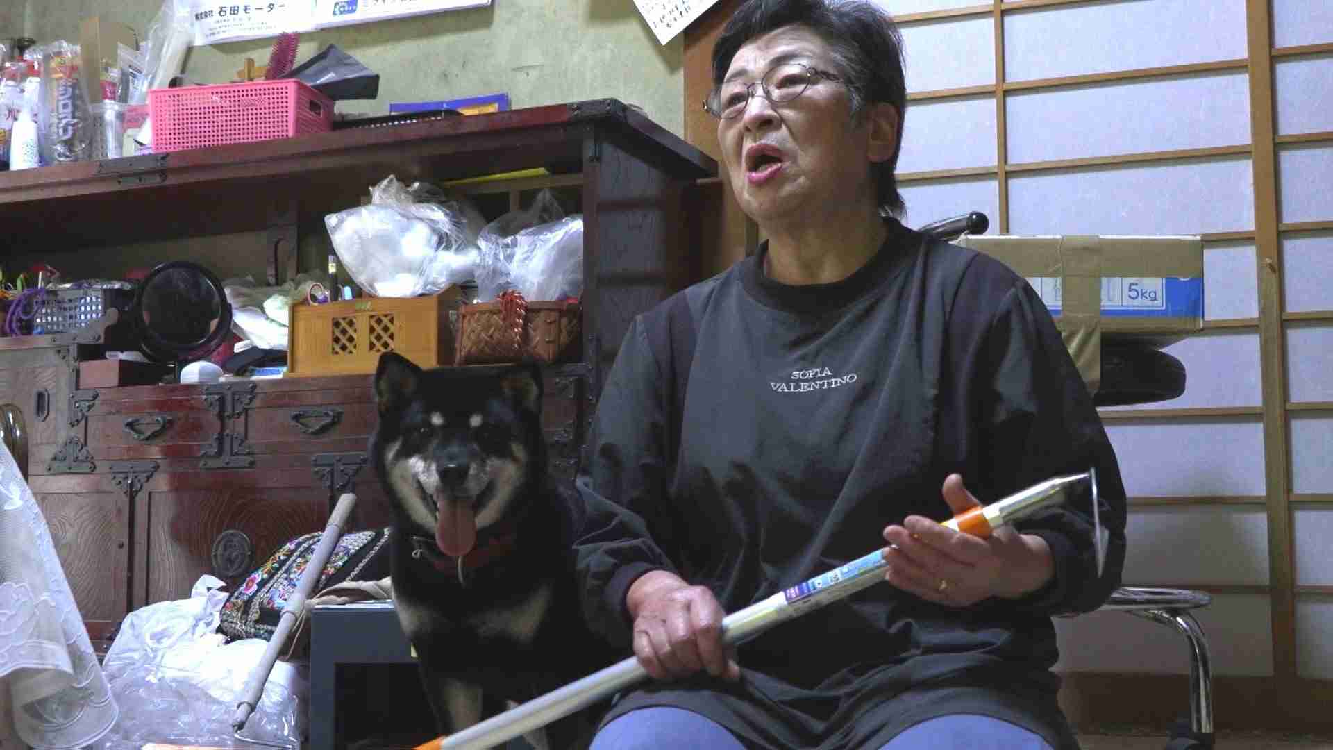 「わぁー!なめんなよーっ!」　80歳女性が”大声”で撃退　愛犬を追いかけ、網戸破り侵入してきた体長1m超のクマもタジタジ　驚いて逃げる　岩手・釜石市（IBC岩手放送） - Yahoo!ニュース