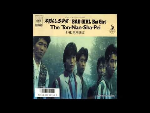 木枯しの少女～BAD GIRL But Girl～  / THE 東南西北