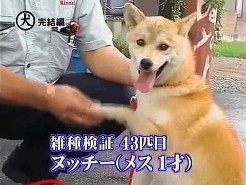 「トリビアの泉」で覚えていること